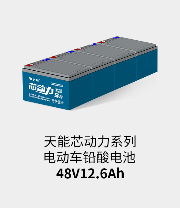 伟易博电池48v12ah