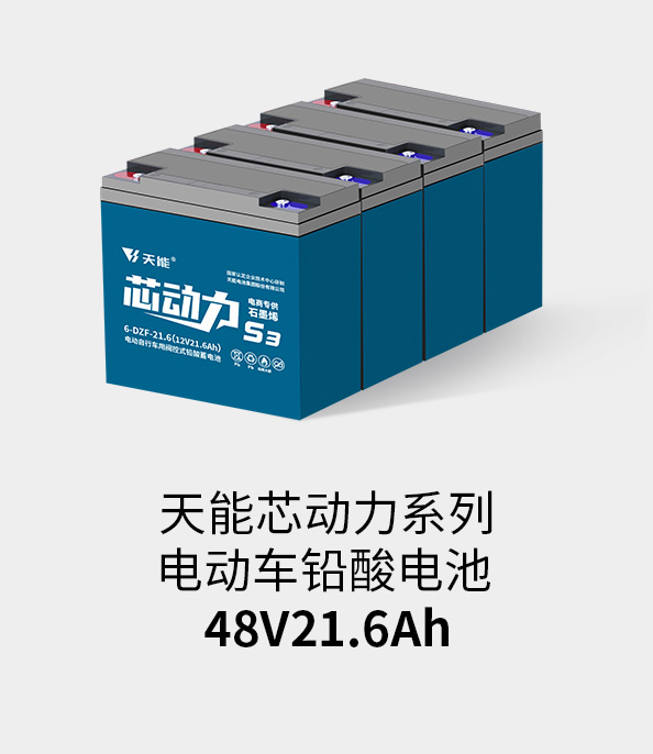 伟易博电池48v20ah