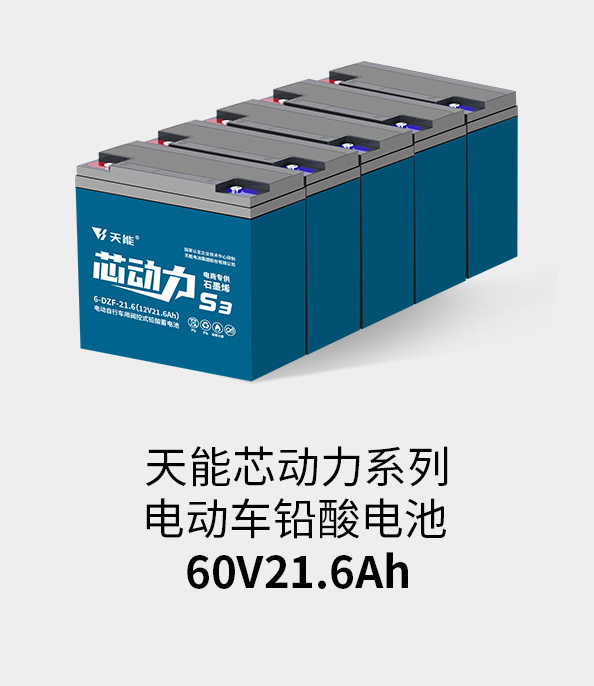 伟易博电池60v20ah