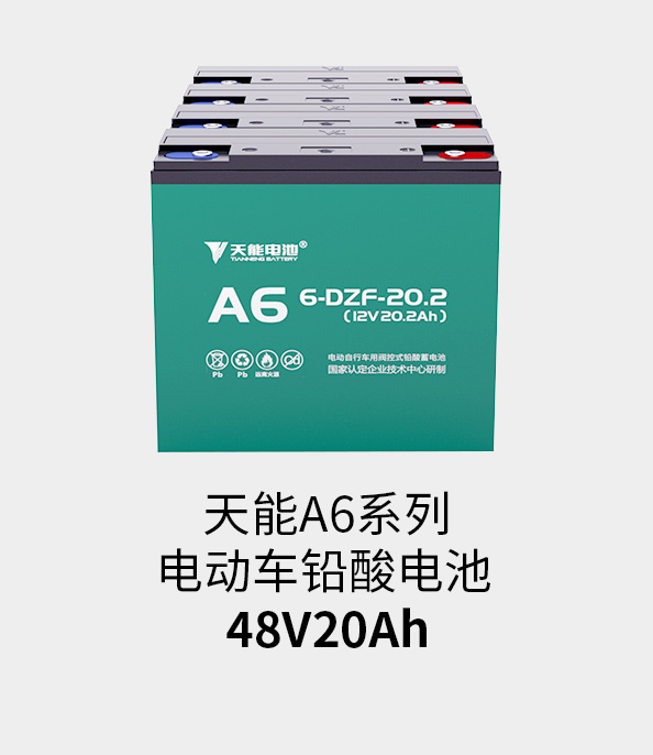 伟易博电池48v20ah