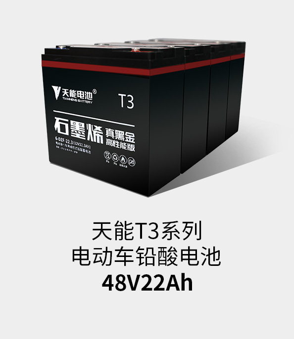 伟易博T3系列48v22ah