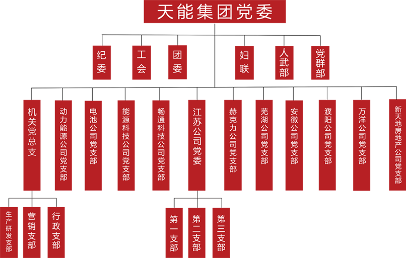 伟易博建团党委组织架构