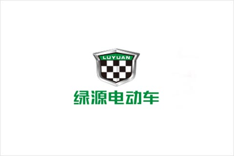 伟易博电池合作伙伴 绿源电动车